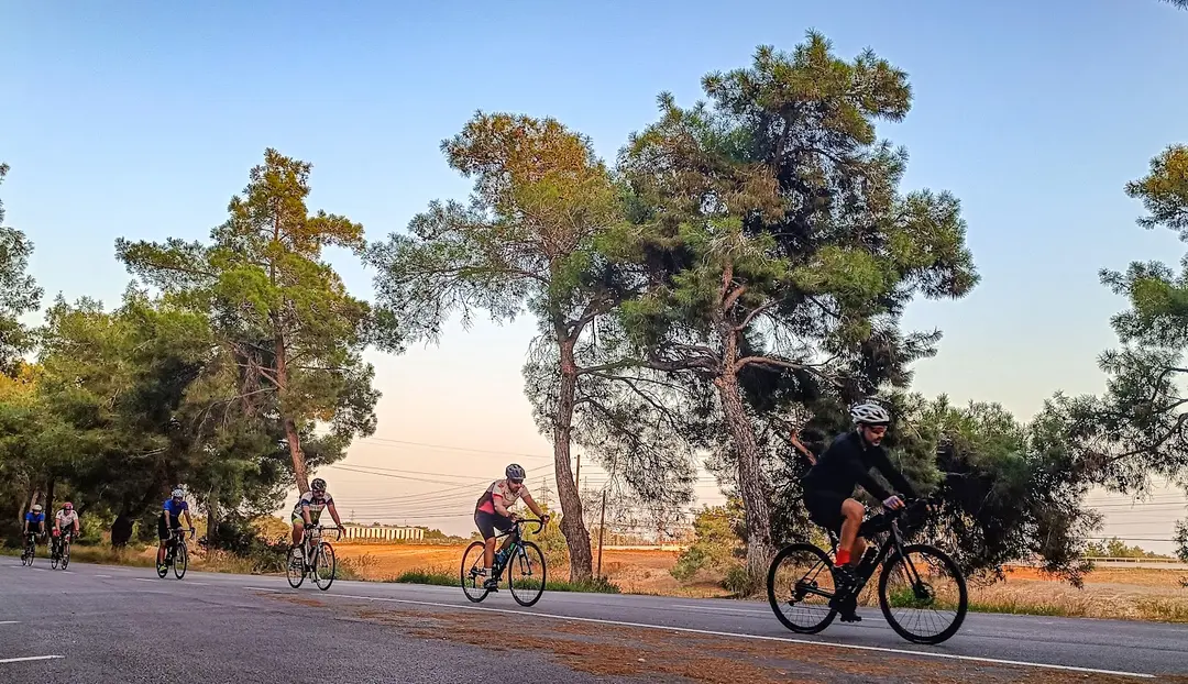 Yörük ormanı Sarıçam adana — Adana — küçük resim 2