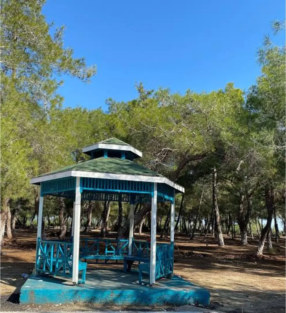 Sarıçam