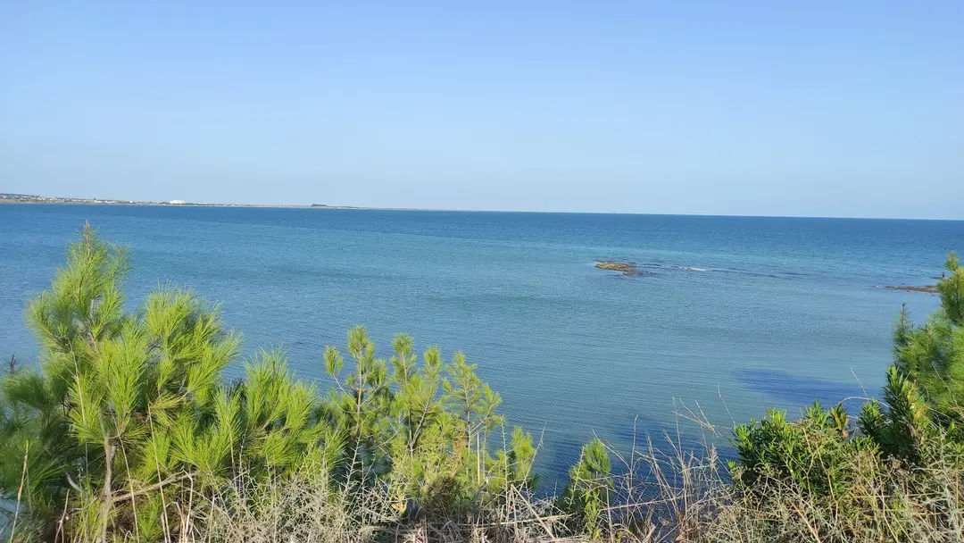 Karataş Kumluk Mesire Yeri — Adana — küçük resim 7