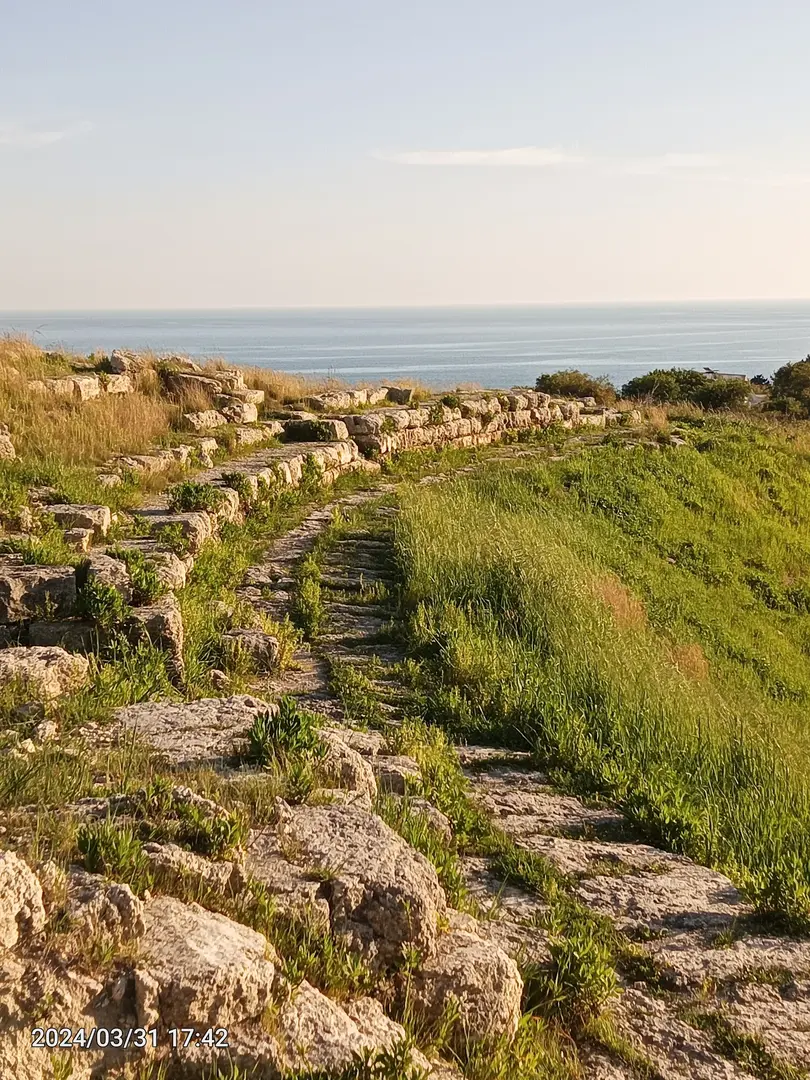 Akyatan National Park — Adana — küçük resim 4