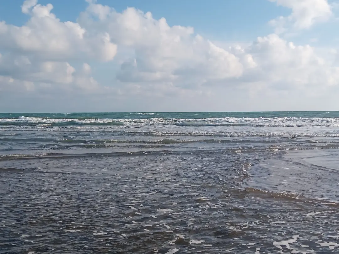 Akyatan National Park — Adana — küçük resim 7
