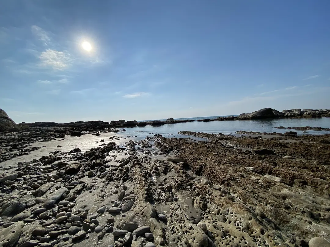Akyatan National Park — Adana — küçük resim 9