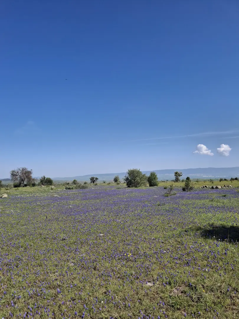 Körkün Kanyonu