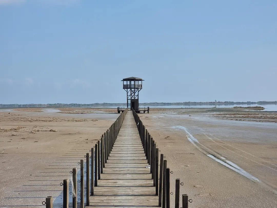 Yumurtalık Lagun Nationalpark — Adana — küçük resim 8