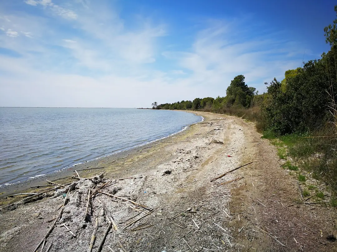 Yumurtalık Lagun Nationalpark — Adana — küçük resim 5