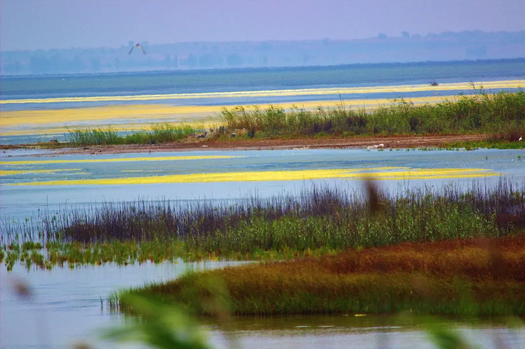 Yumurtalık Lagun Nationalpark — Adana — küçük resim 2