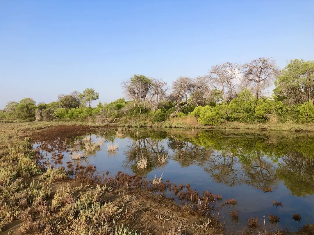 Yumurtalık Lagun Nationalpark — Adana — küçük resim 7