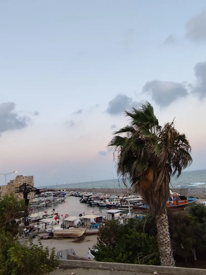 Yumurtalık lıyızbiz — Adana — küçük resim 4