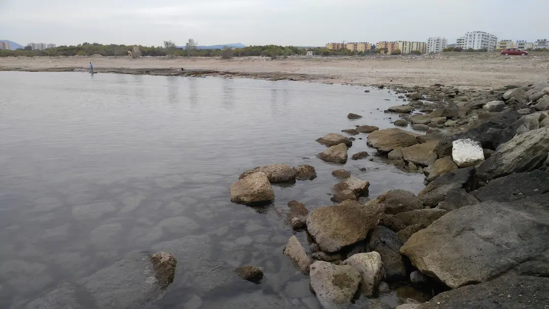 Yumurtalık lıyızbiz — Adana — küçük resim 6