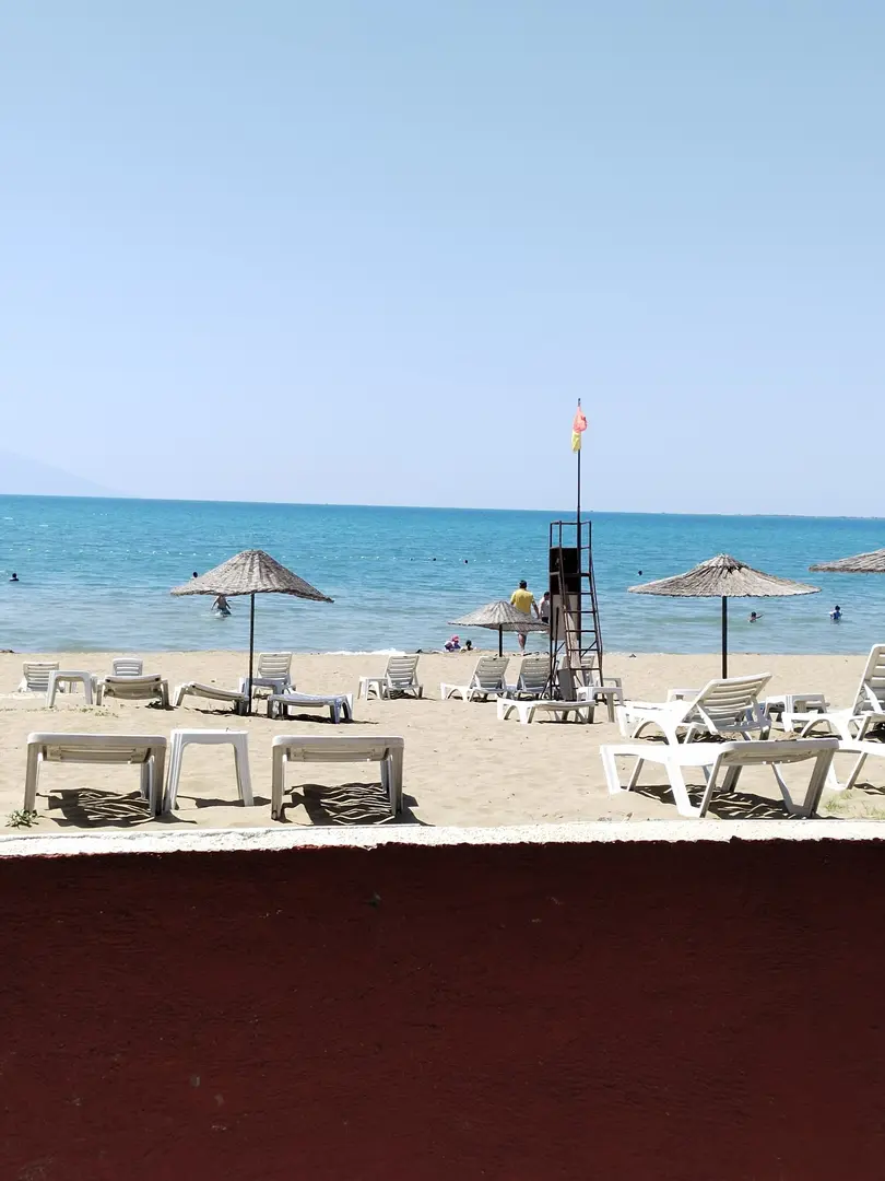 Yumurtalık