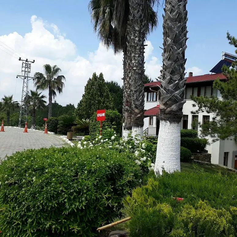 Sakıp Sabancı Kent Ormanı — Adana — küçük resim 9