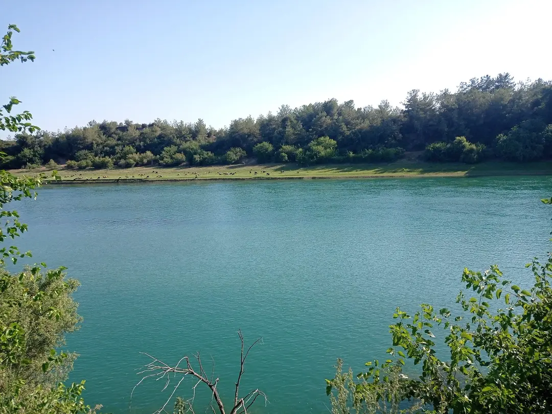 Sarıçam