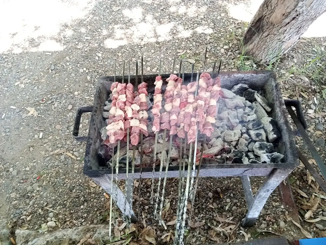 Narlı bahçe piknik alanı — Adana — küçük resim 4