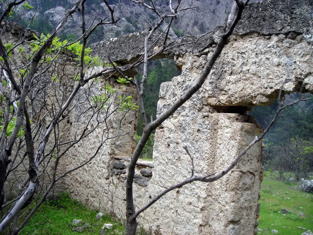 Mustafa Pekmezci Camp-1 — Adana — küçük resim 8
