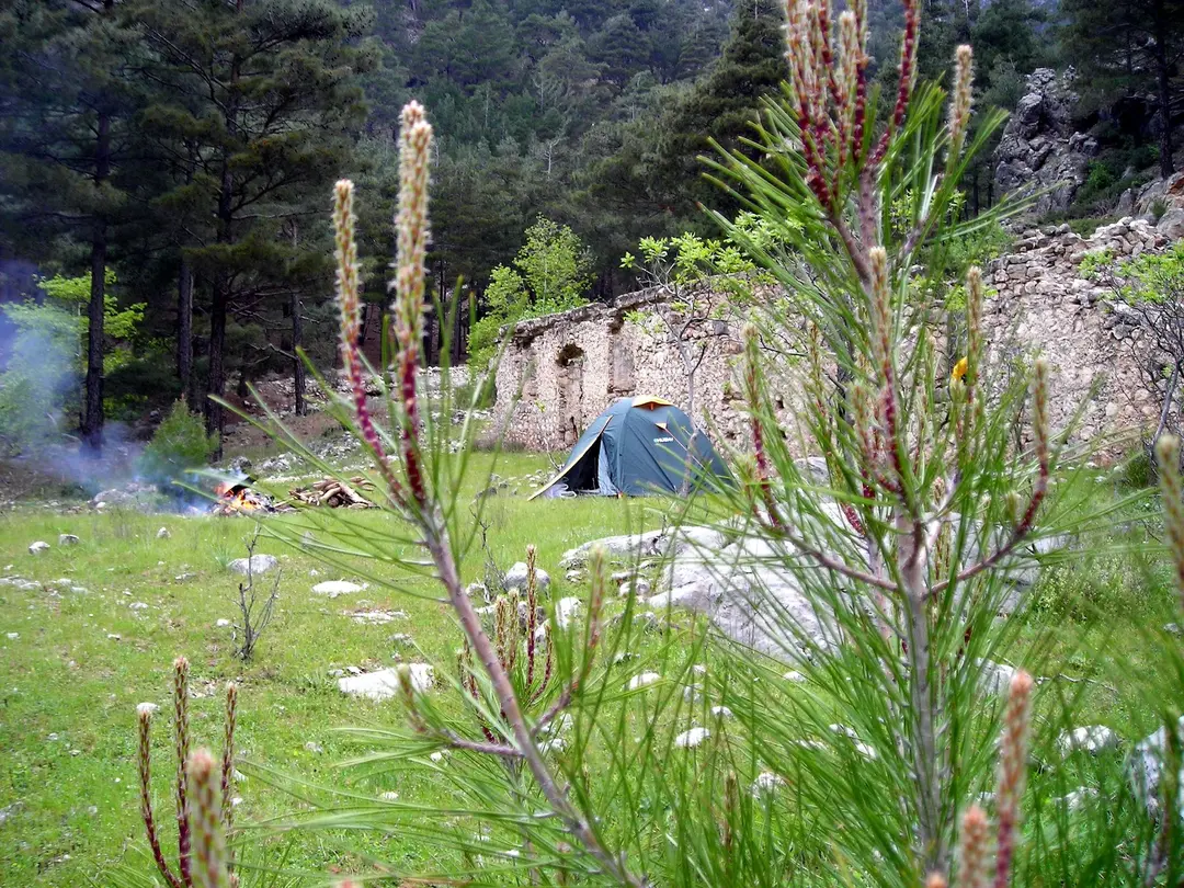 Mustafa Pekmezci Camp-1 — Adana — küçük resim 6