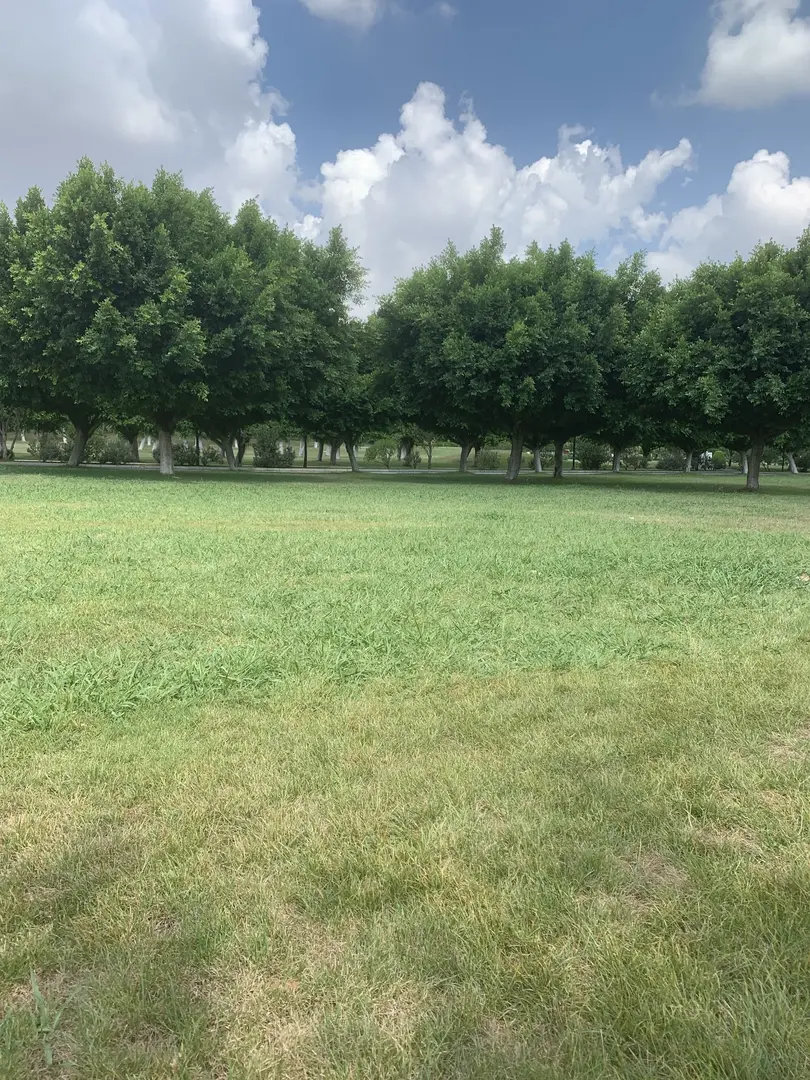 Punto Carovana — Adana — küçük resim 2