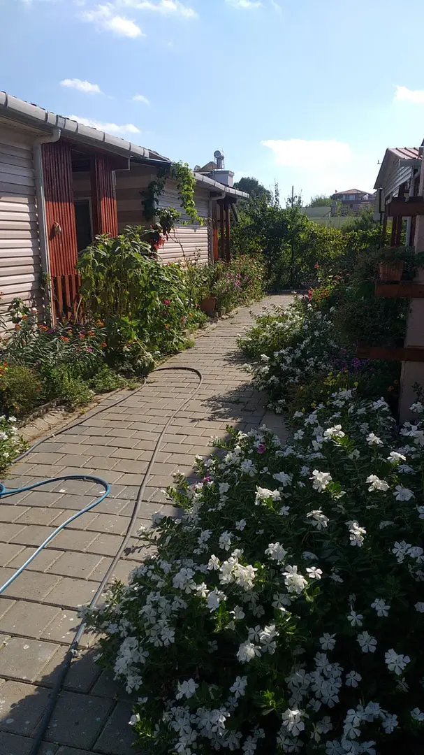 Can Camping - Pansiyon — Adana — küçük resim 7
