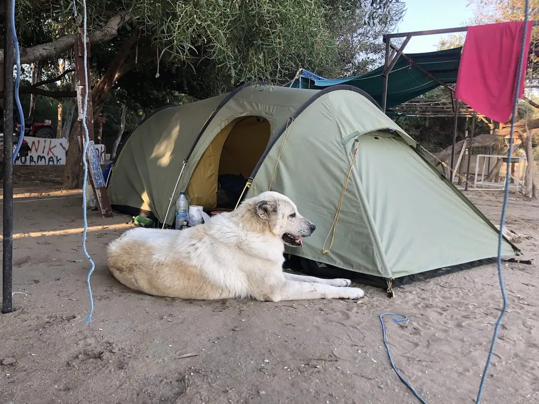 Esen Kamping — Adana — küçük resim 8