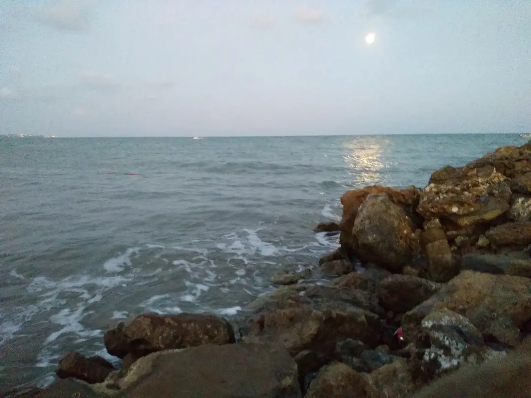 Yılmaz Camping — Adana — küçük resim 10