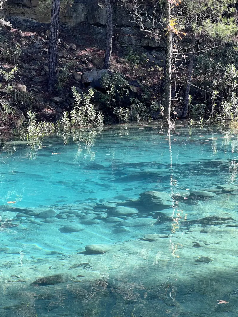 Yedigöze Orman Parkı — Adana — küçük resim 7