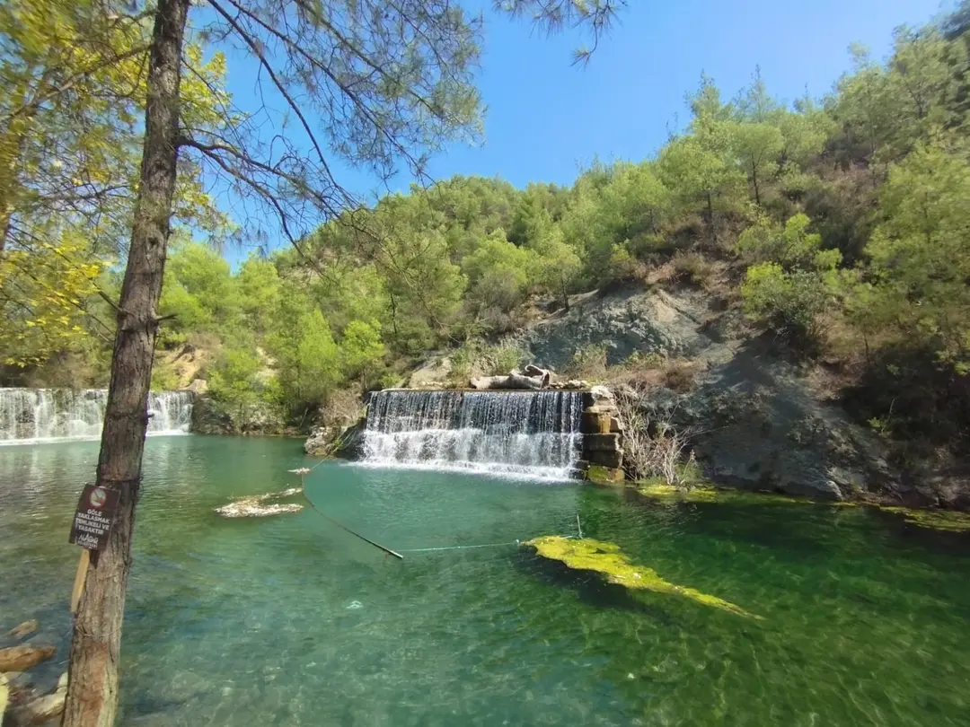 Yedigöze Orman Parkı — Adana — küçük resim 5