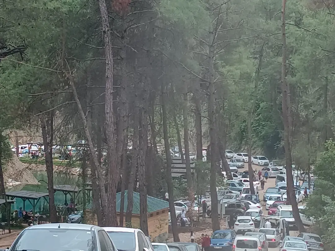 Yedigöze Orman Parkı — Adana — küçük resim 10