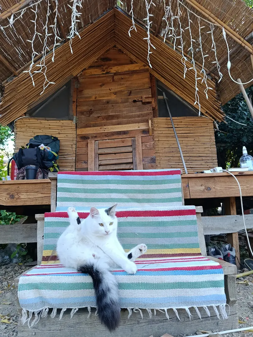 Uğur Karavan Camping — Hatay — küçük resim 6