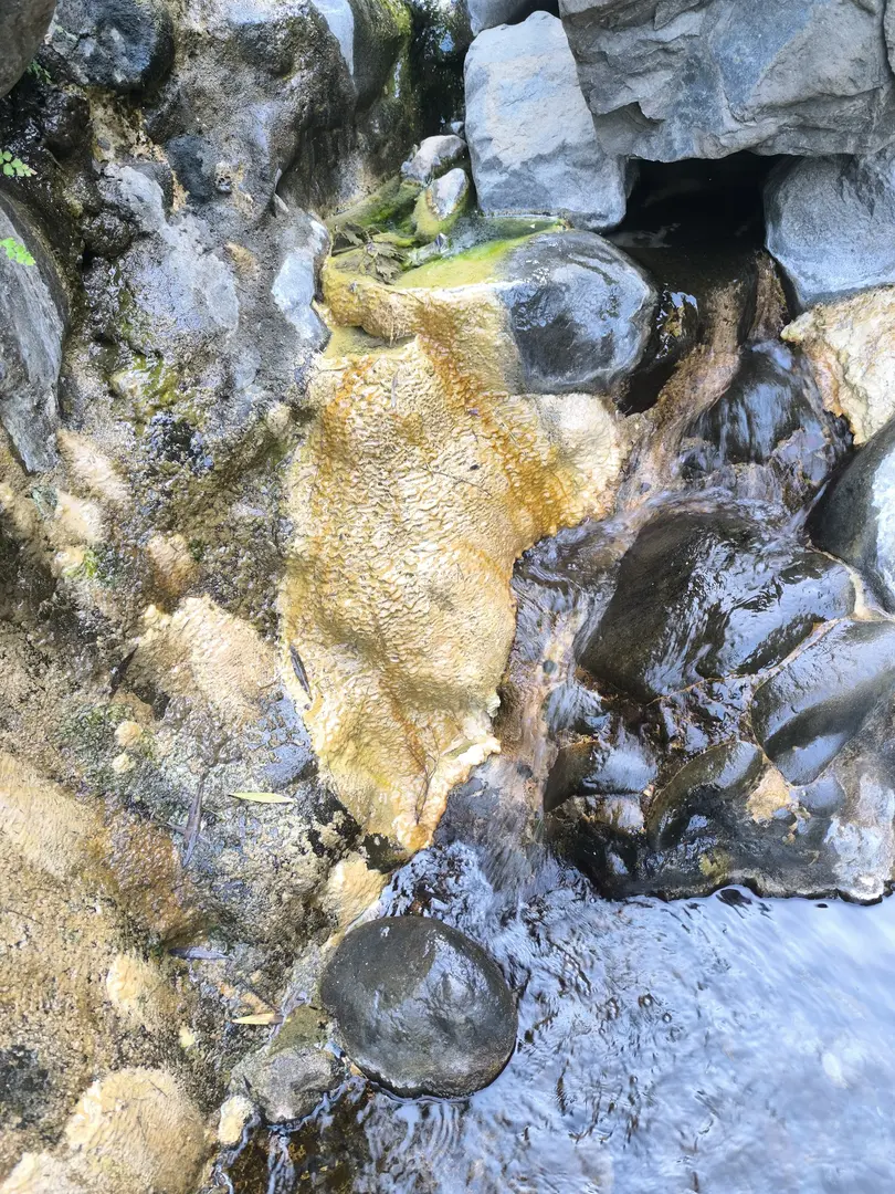 Zone de Loisirs Yıldırım — Hatay — küçük resim 8