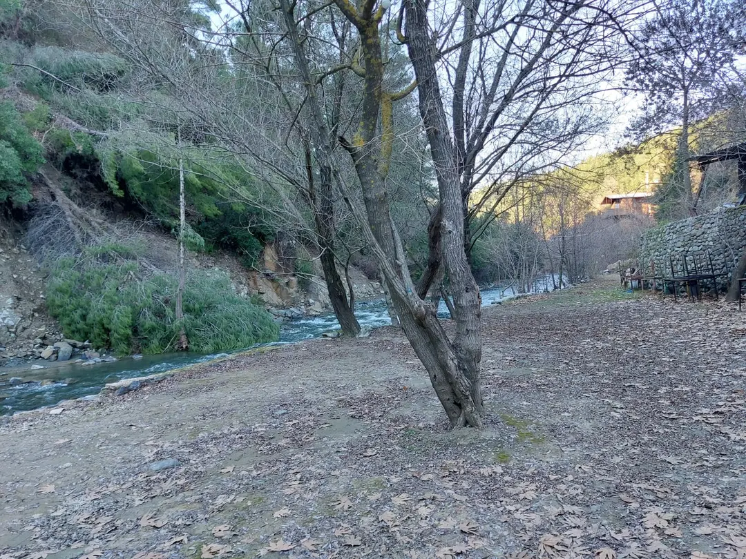 Ballıöz Tayşa Restaurant & Kamp Alanı — Hatay — küçük resim 5