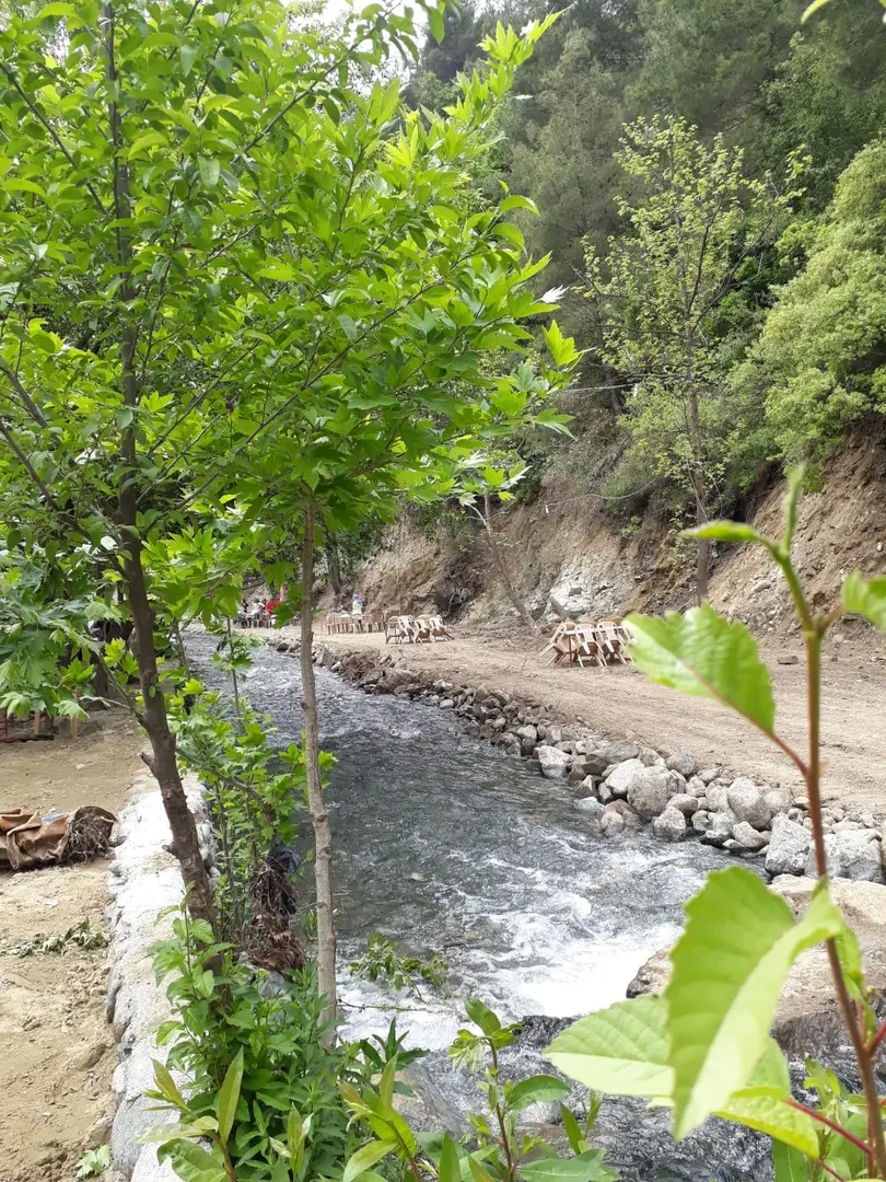 Ballıöz Tayşa Restaurant & Kamp Alanı — Hatay — küçük resim 3