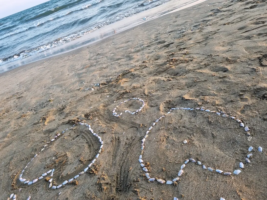Burnaz Beach Kel Mahmut's Place Family Beach — Hatay — küçük resim 9