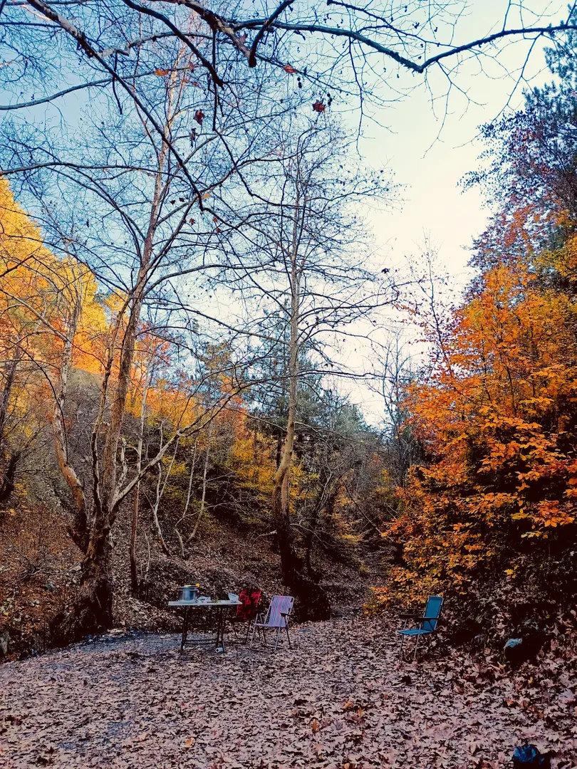 Bedrik Çayı picknick och campingområde — Hatay — küçük resim 9