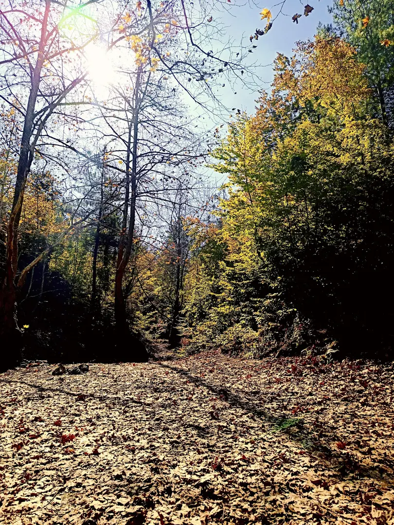Bedrik Çayı picknick och campingområde — Hatay — küçük resim 3