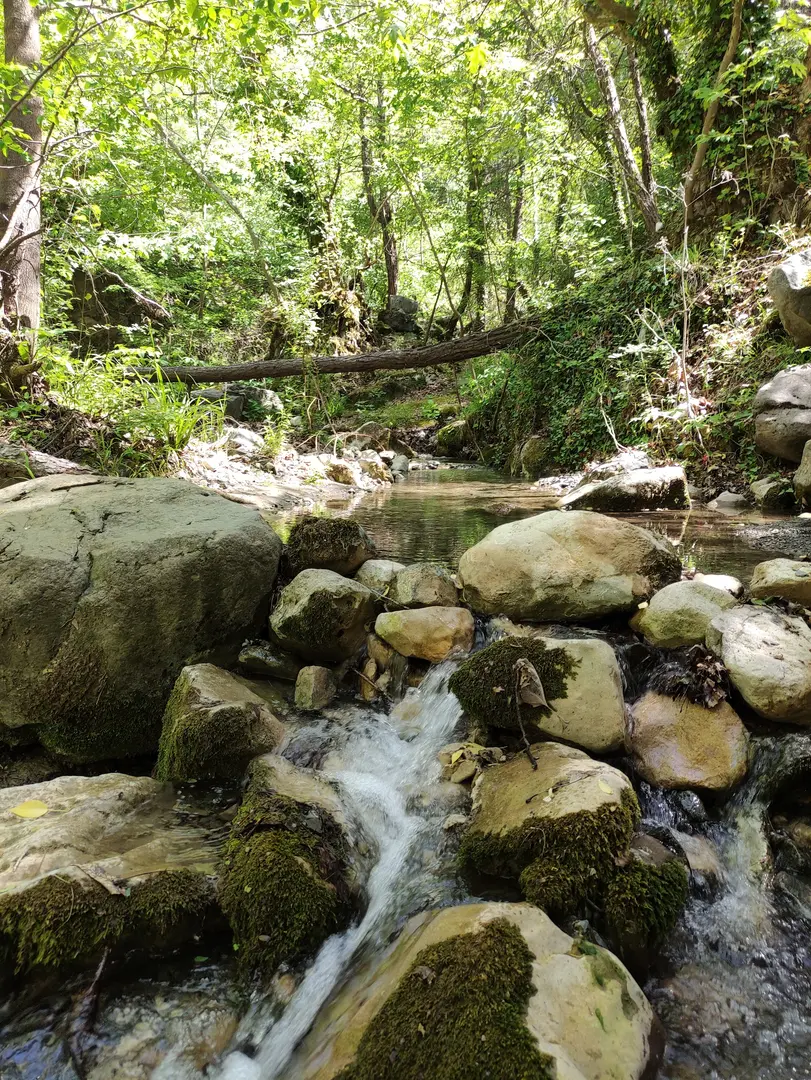 Bedrik Çayı picknick och campingområde — Hatay — küçük resim 7