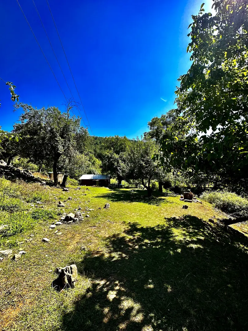 Alan Yaylası — Hatay — küçük resim 5