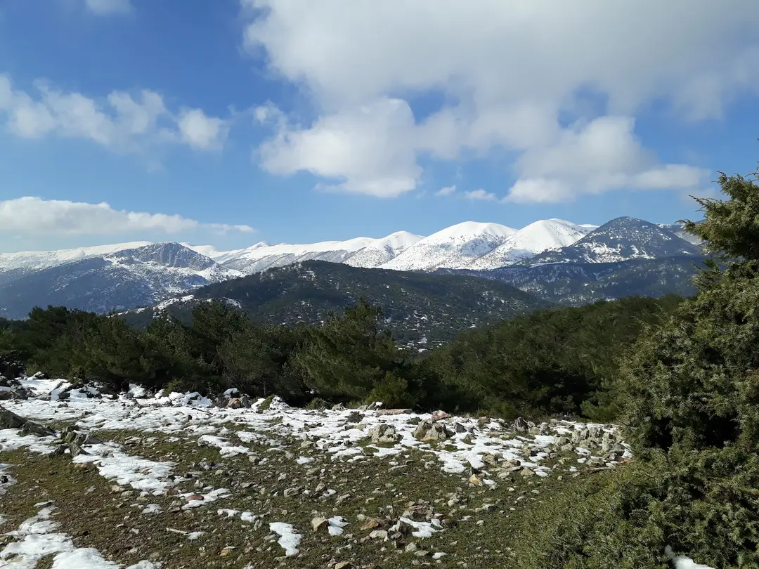 Alan Yaylası — Hatay — küçük resim 4