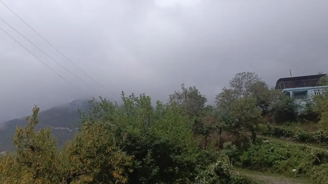 Alan Yaylası — Hatay — küçük resim 10
