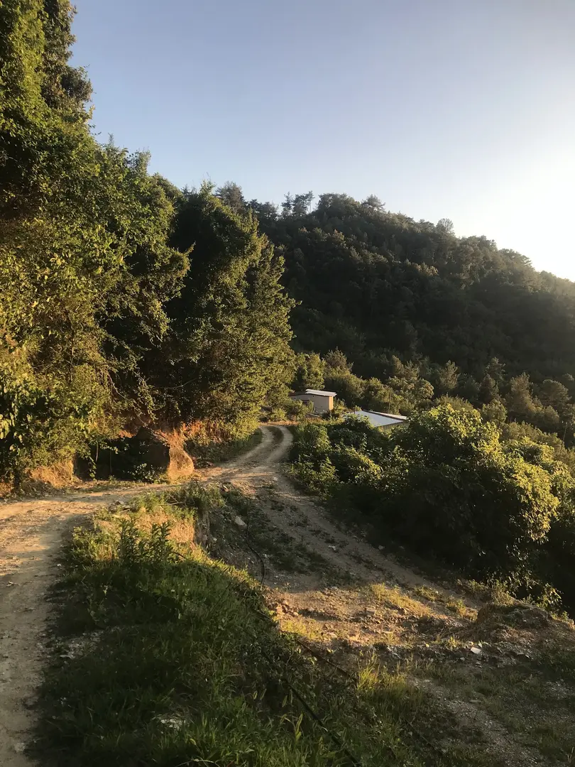 KOCADÜZ YAYLASI — Hatay — küçük resim 9