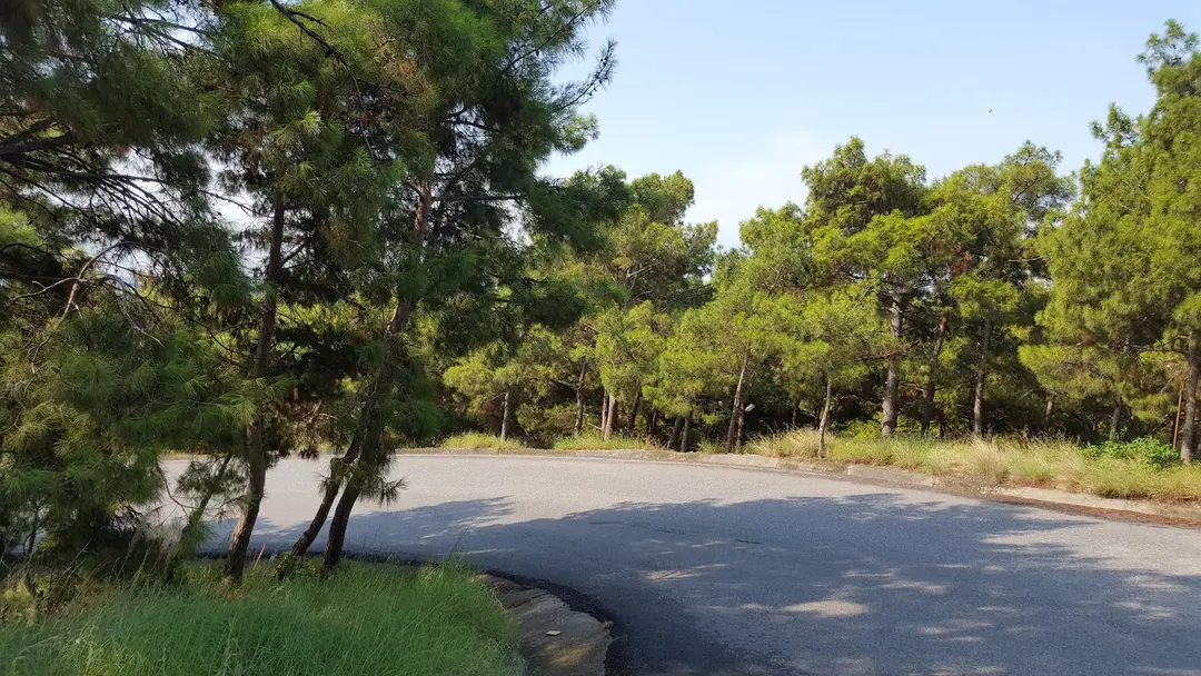 Veli İsmet Gürbüz Civelek Picnic Area — Hatay — küçük resim 9