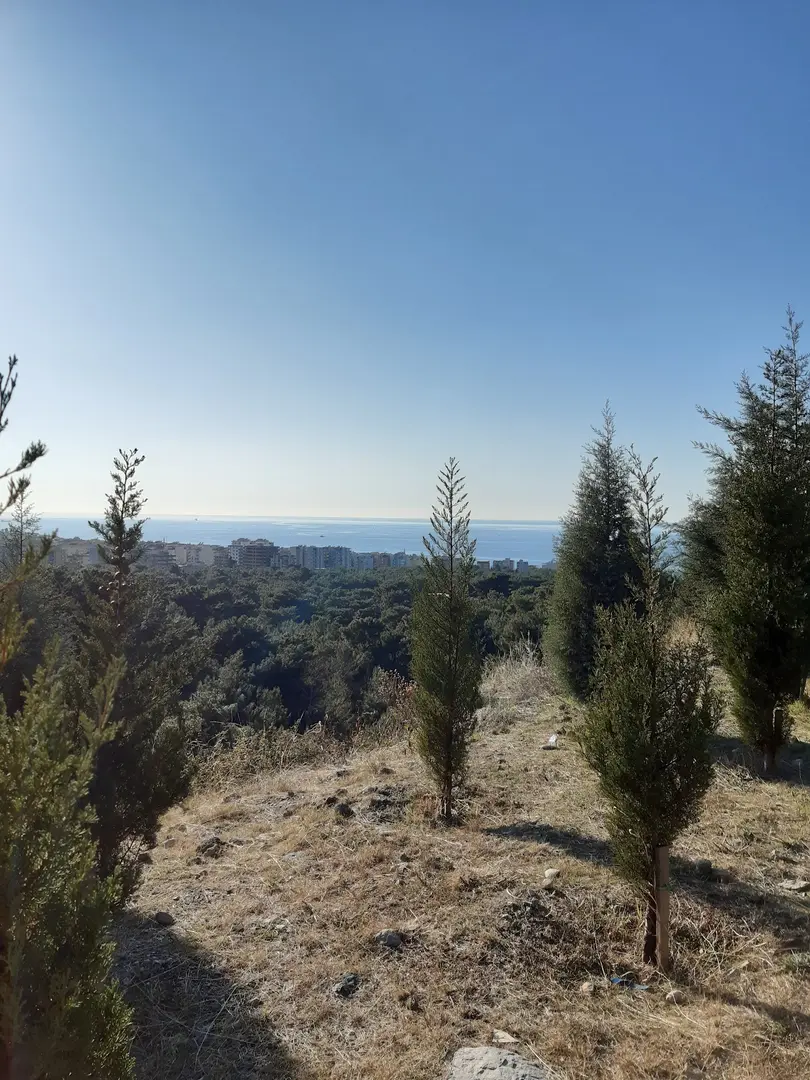Veli İsmet Gürbüz Civelek Piknik Alanı
