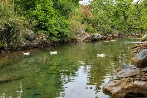Kuzuculu Parkı / Dörtyol / Hatay / Türkiye