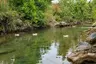 Kuzuculu Parkı / Dörtyol / Hatay / Türkiye