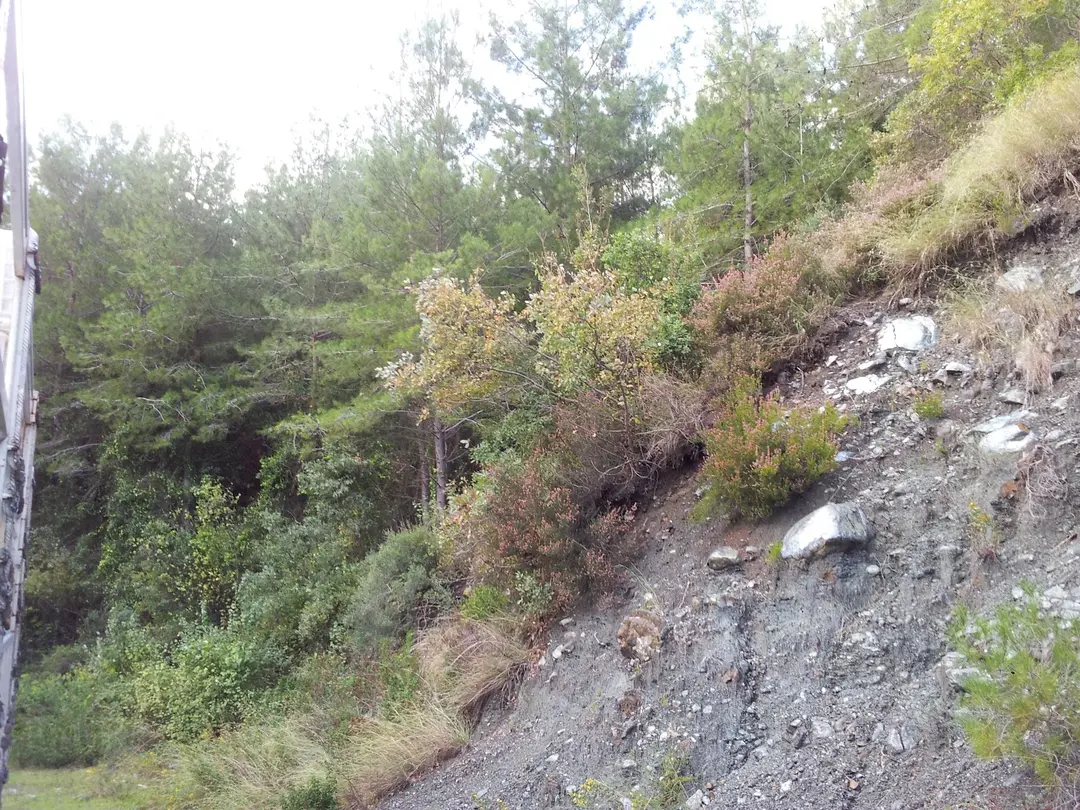 Kuzuculu Parkı / Dörtyol / Hatay / Turkey — Hatay — küçük resim 5