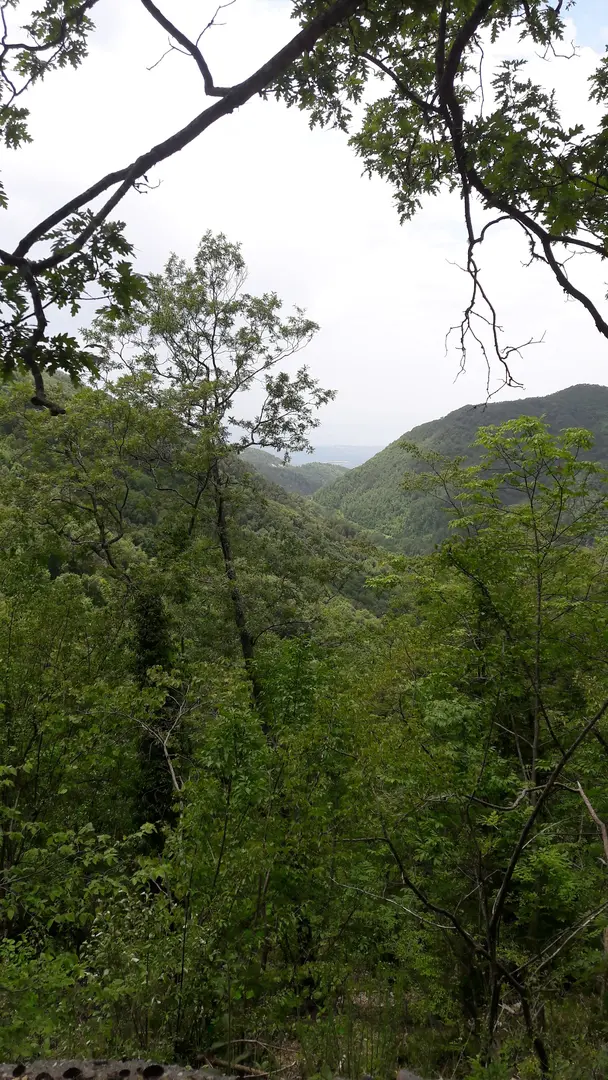 Tekkoz-Kengerlidüz Nature Conservation Area — Hatay — küçük resim 3