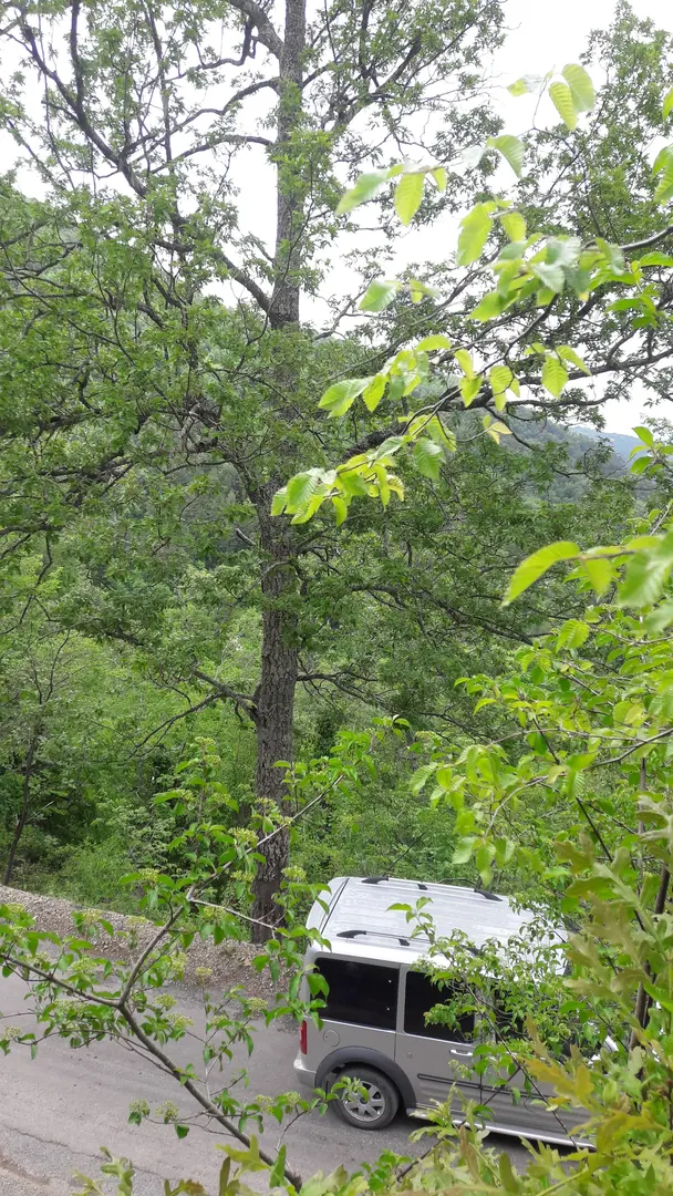 Tekkoz-Kengerlidüz Nature Conservation Area — Hatay — küçük resim 2
