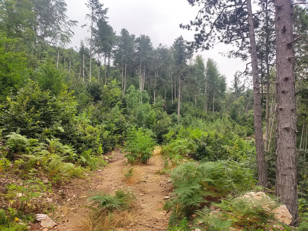 Topaktaş Yaylası — Hatay — küçük resim 9