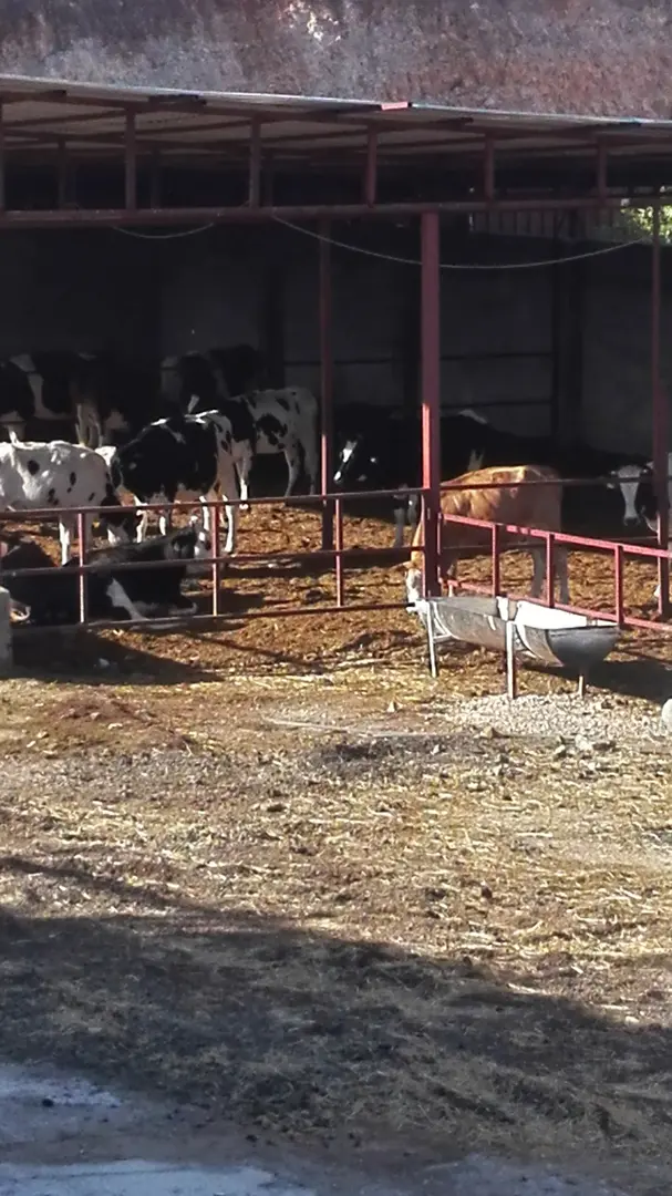 Kızılaya Tent City — Hatay — küçük resim 2