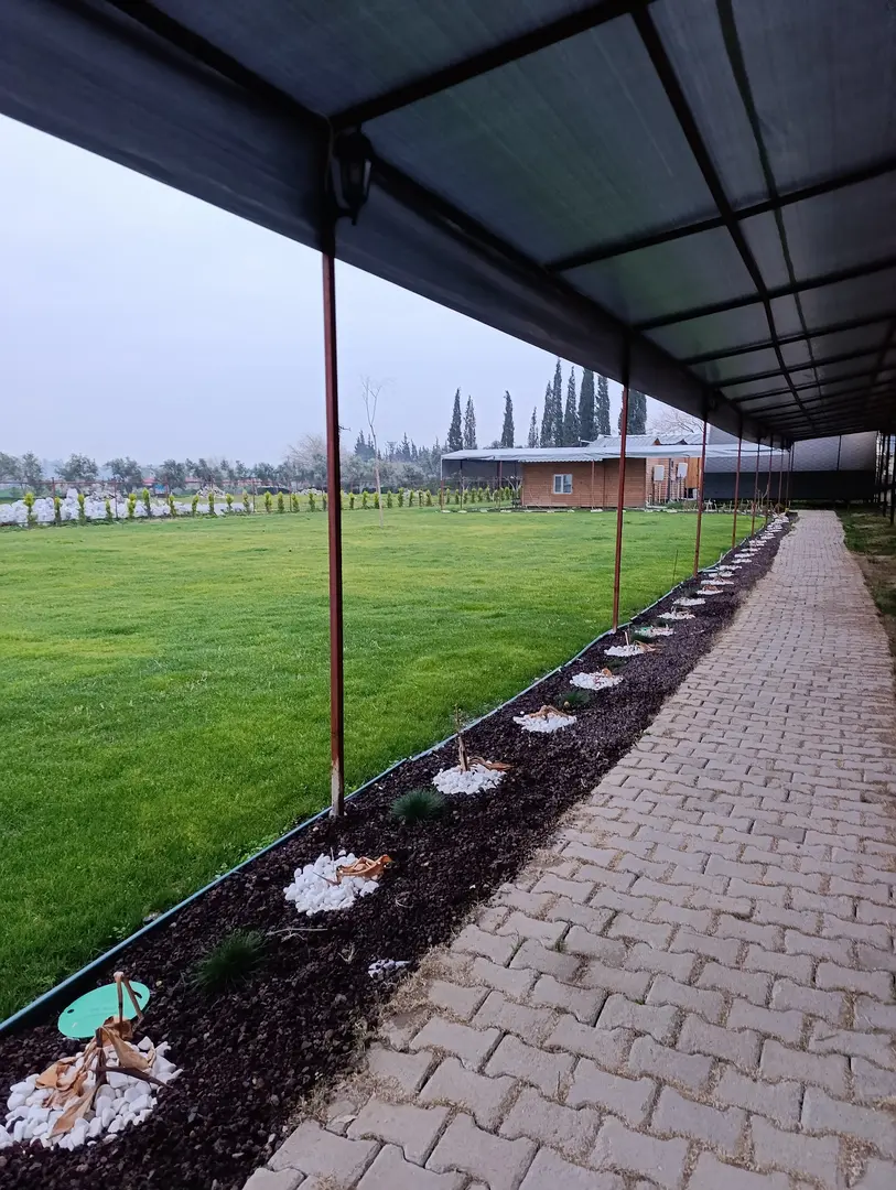 Motto Wood Bungalov Hotel — Hatay — küçük resim 3