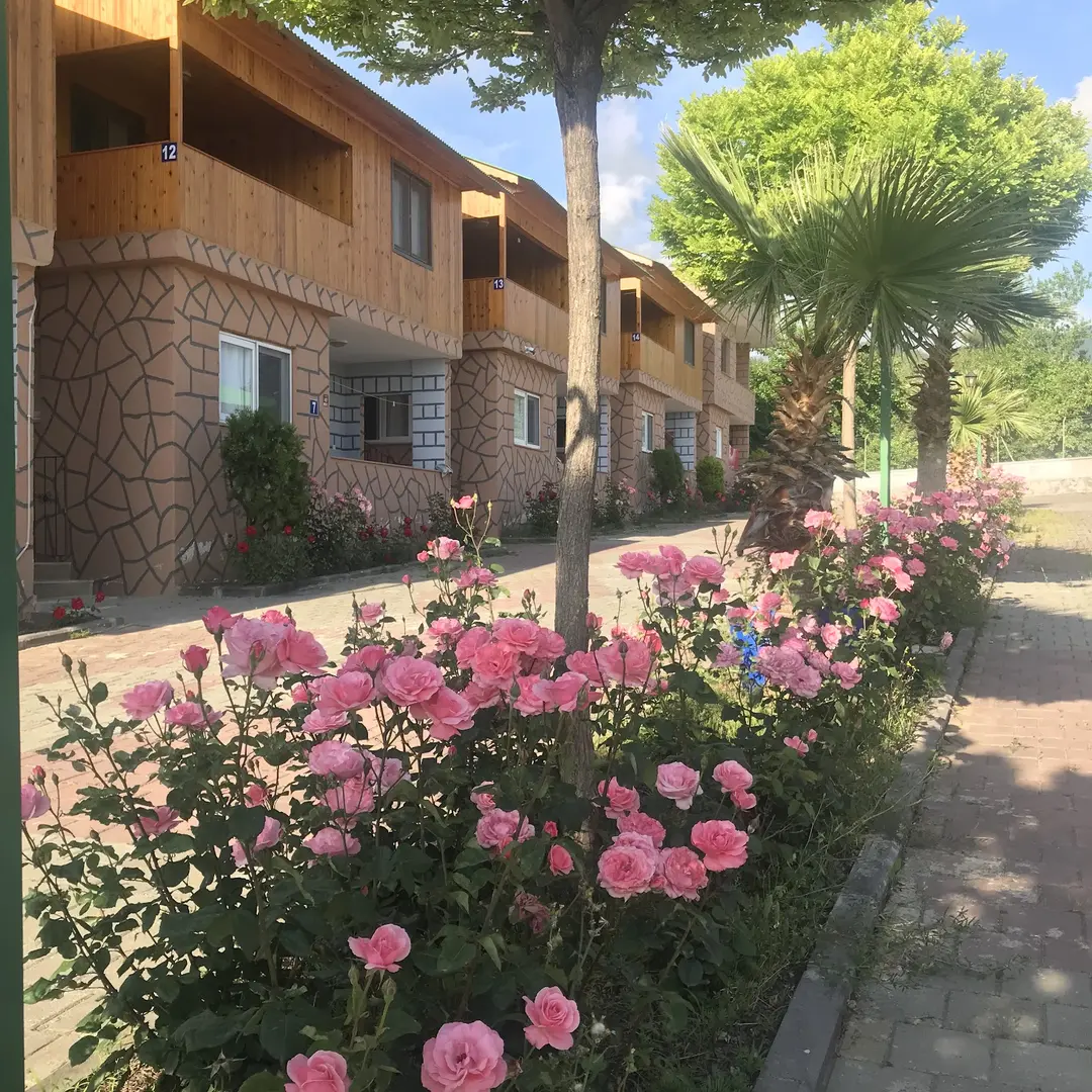 Palmiye Bungalov Otel — Hatay — küçük resim 4