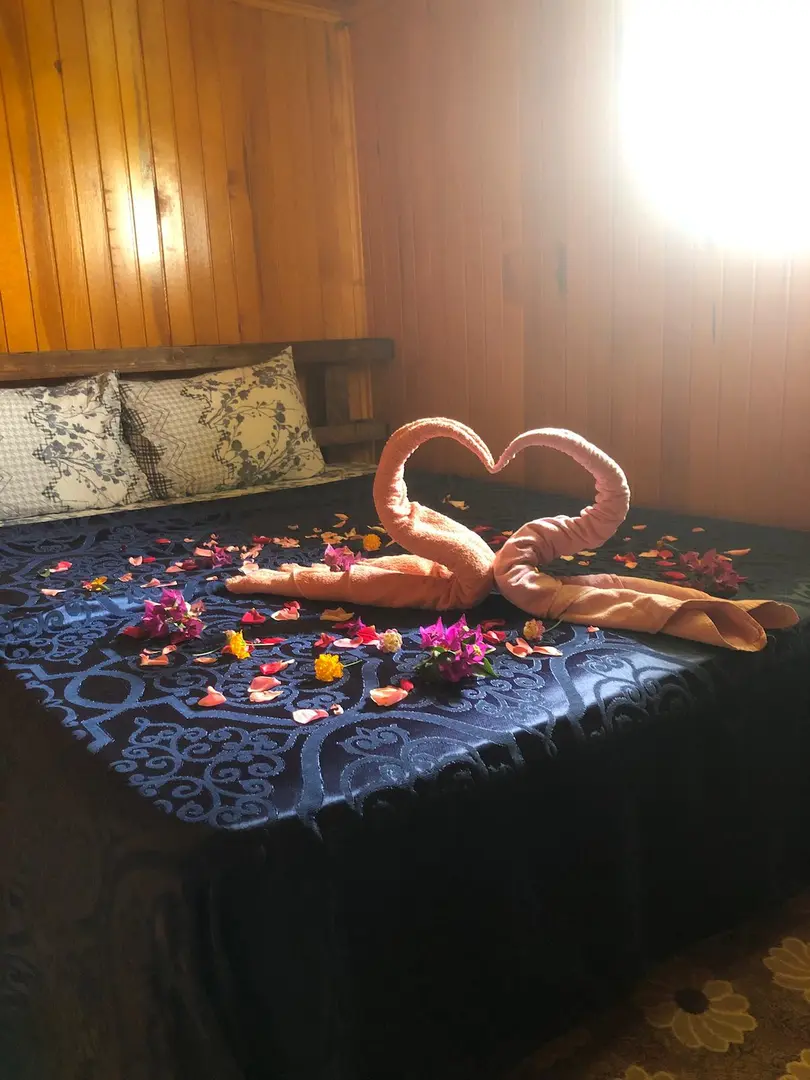 Palmiye Bungalov Otel — Hatay — küçük resim 5